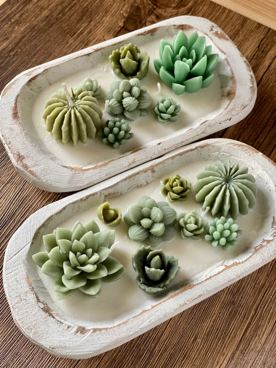 Baja Cactus Blossom Succulent Candle
