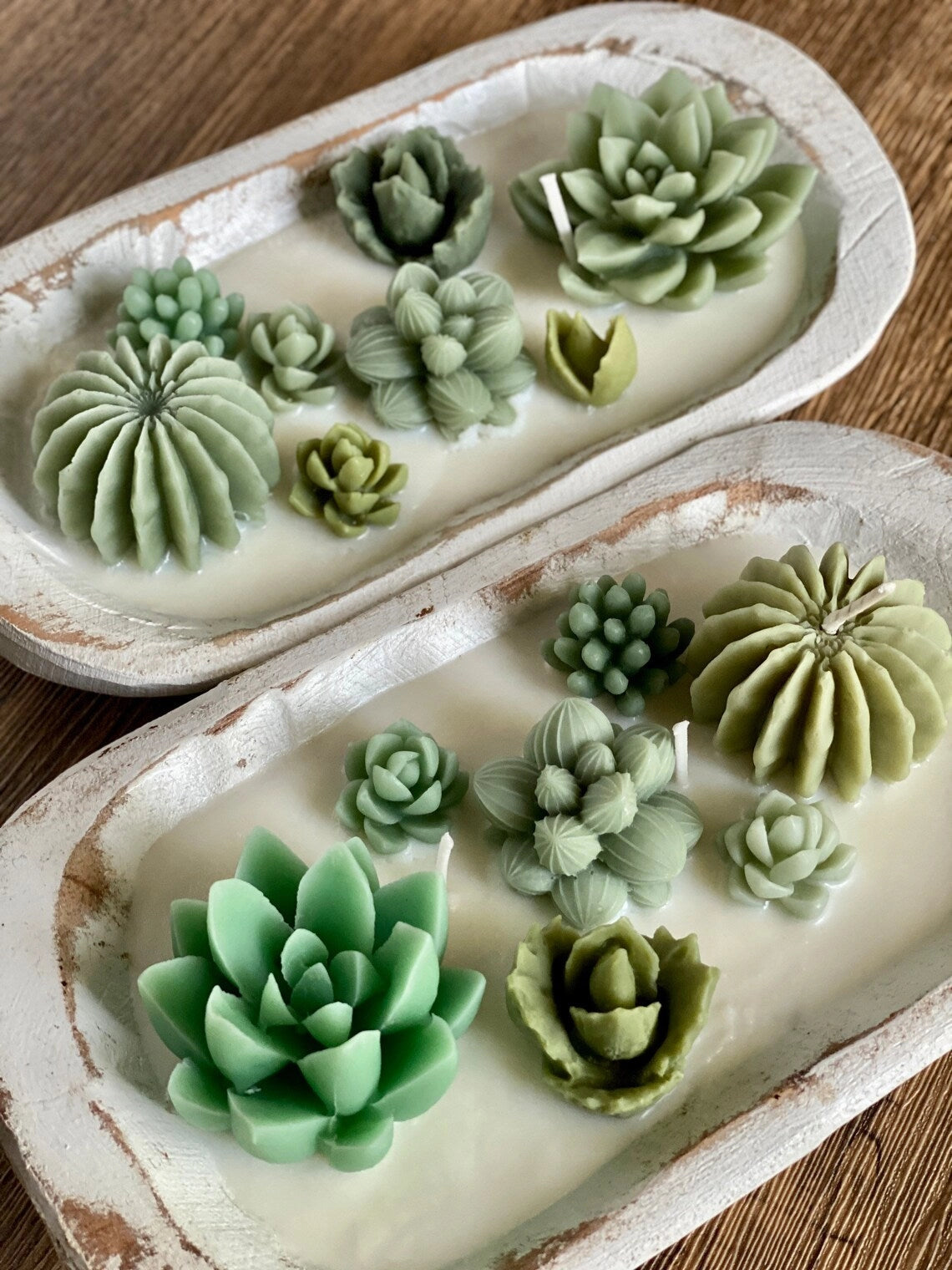 Baja Cactus Blossom Succulent Candle