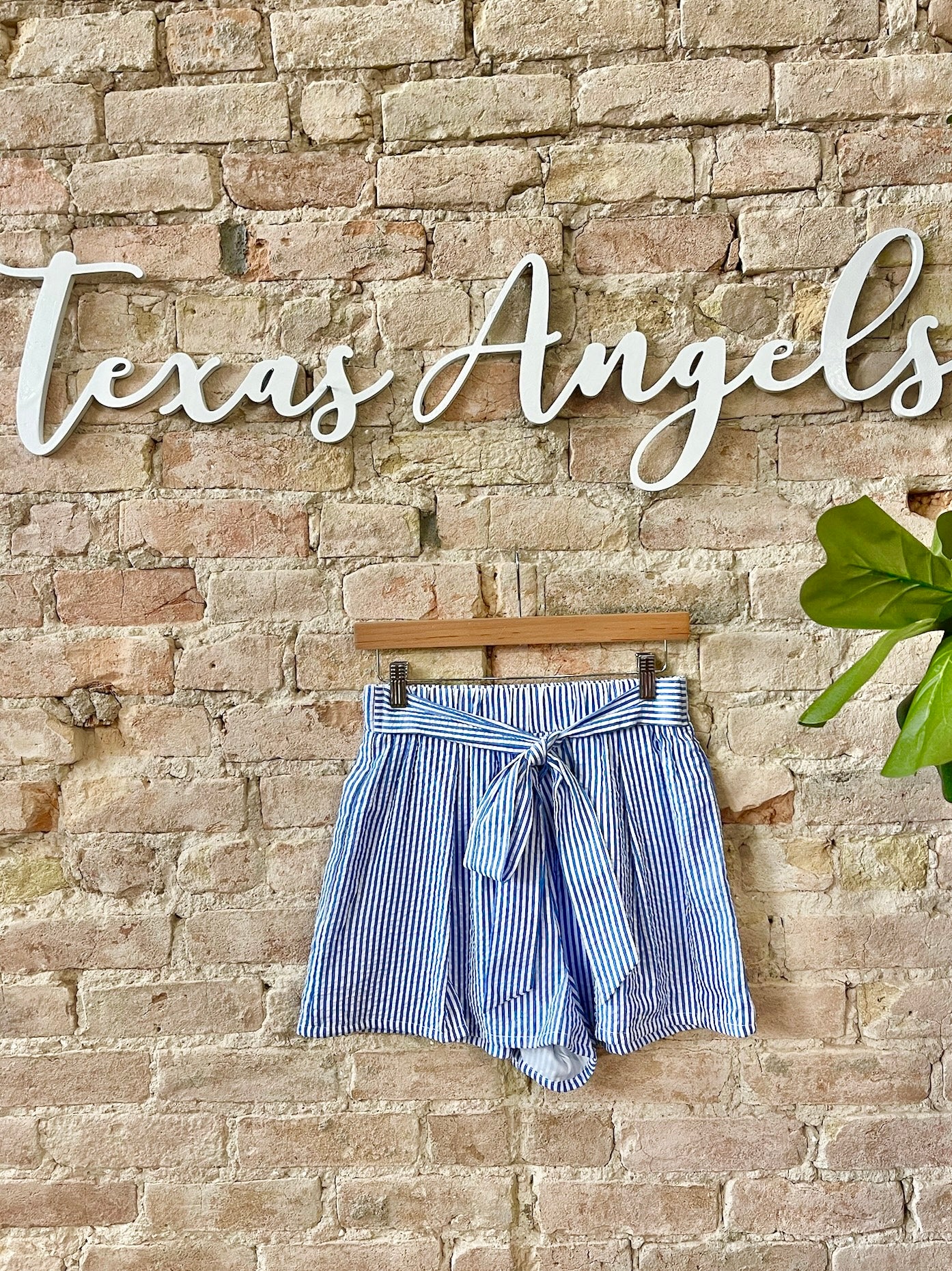 Never Settle Blue Striped Shorts