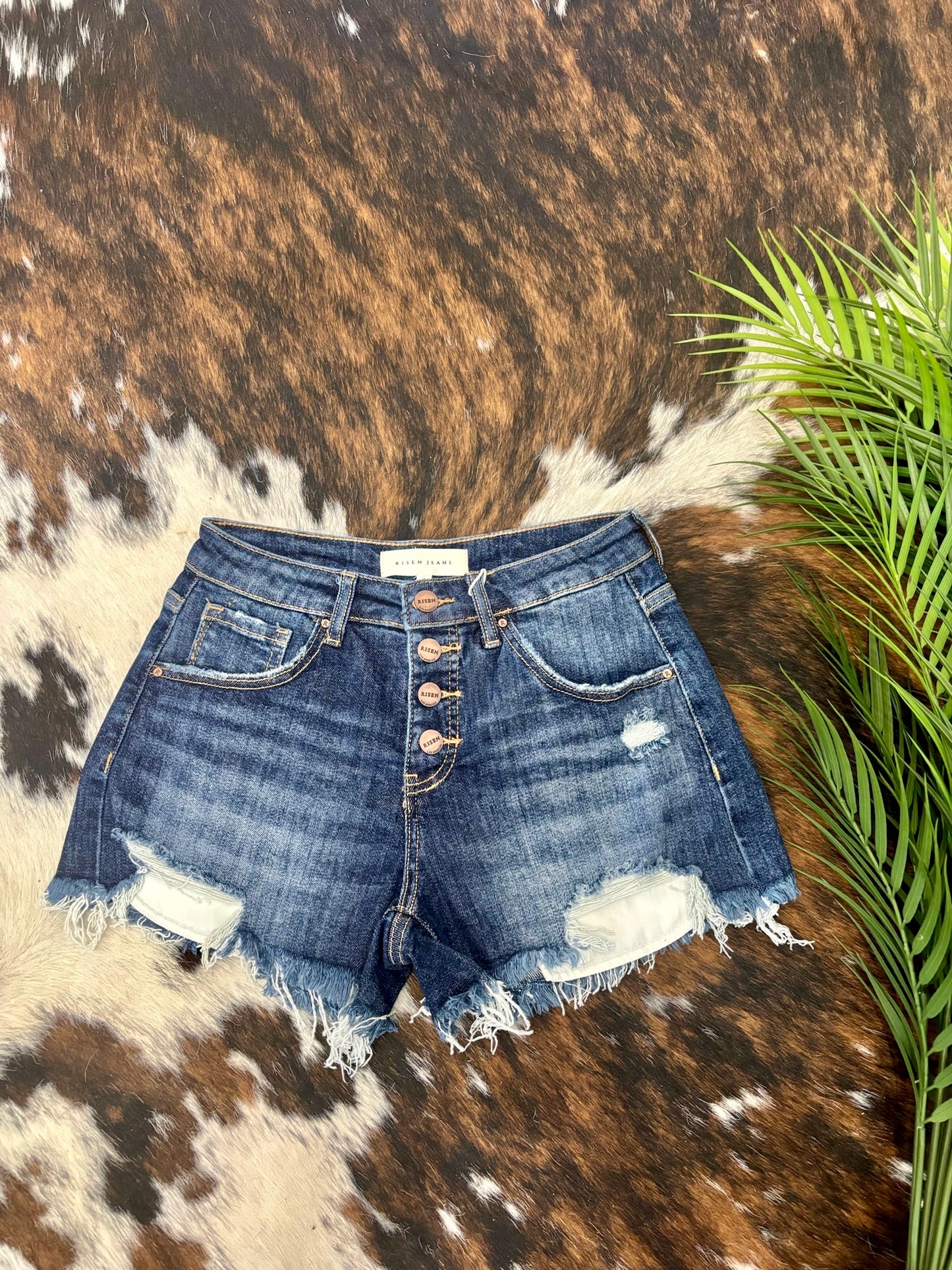 Rise & Shine Risen Shorts