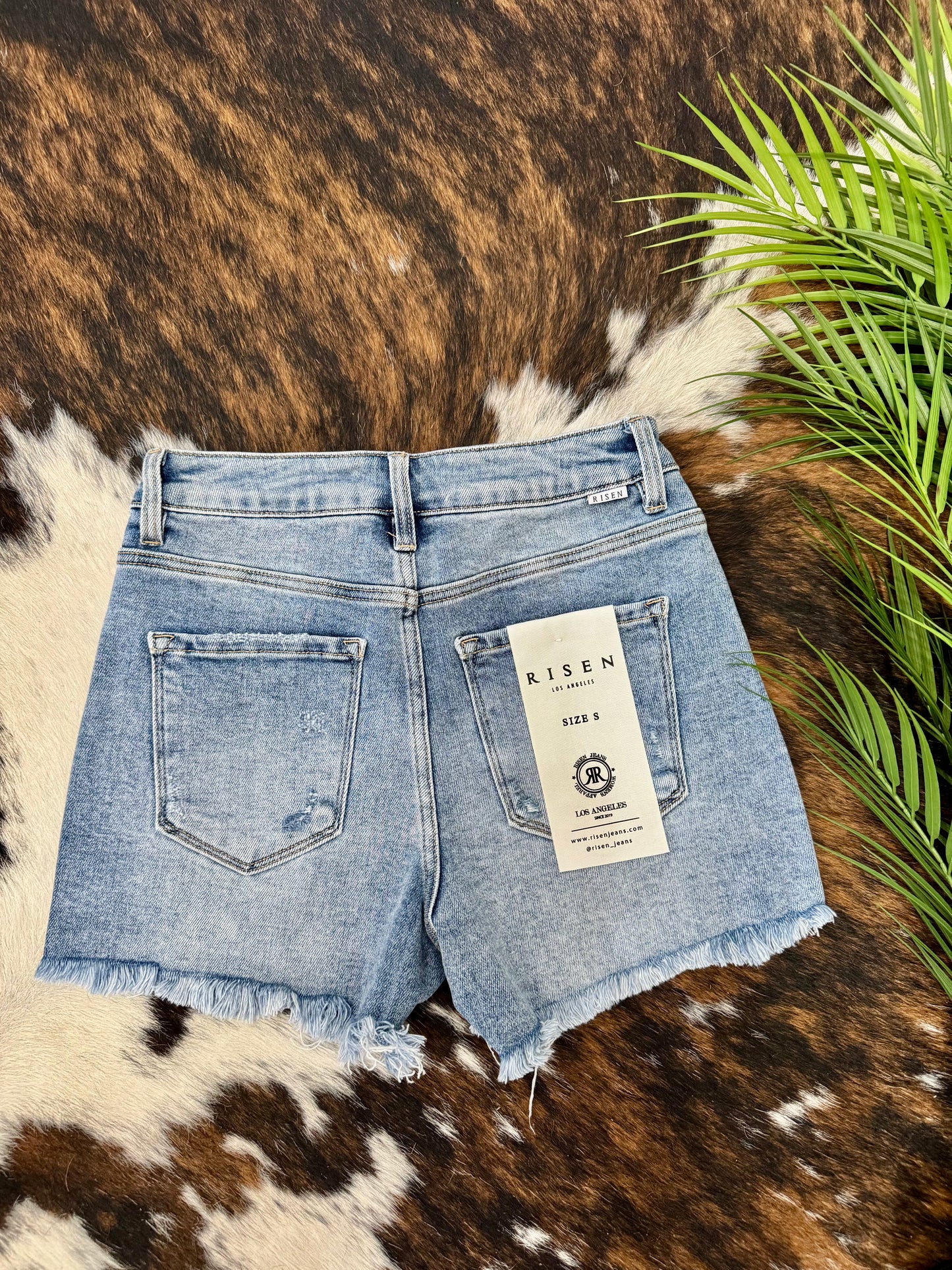Long Story Short Risen Shorts