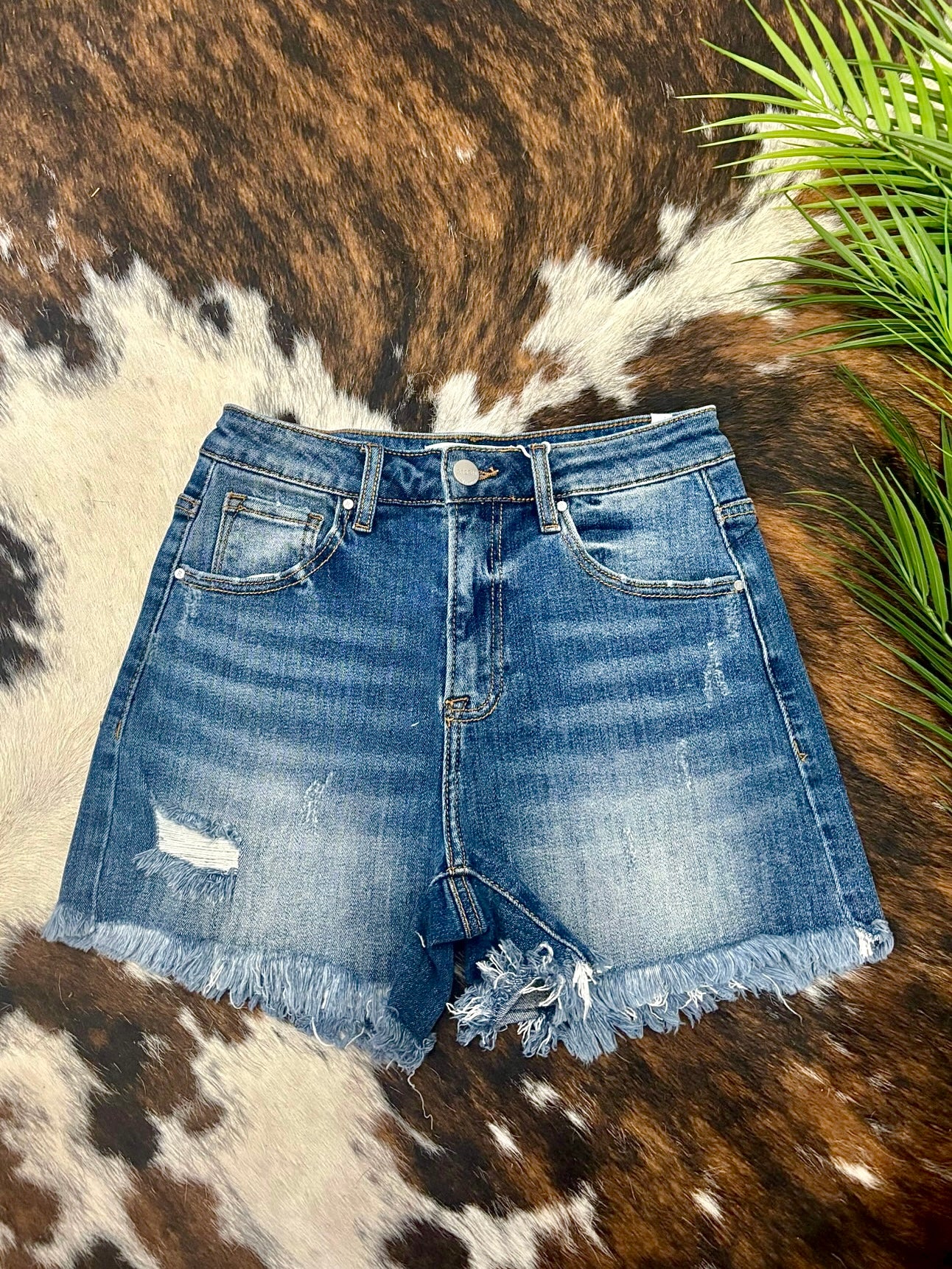 Hot Girl Summer Risen Shorts