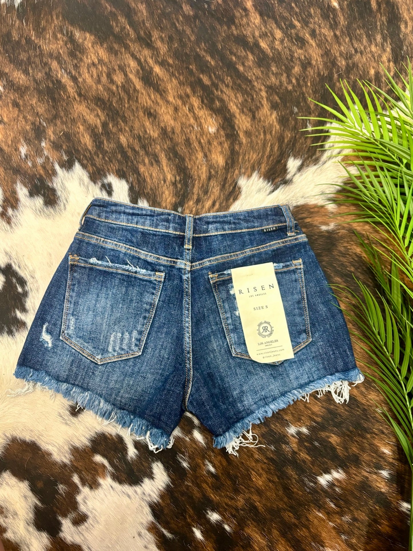 Rise & Shine Risen Shorts