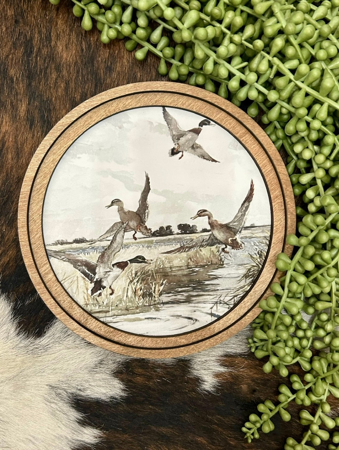 Round Mallard Duck Canvas Decor