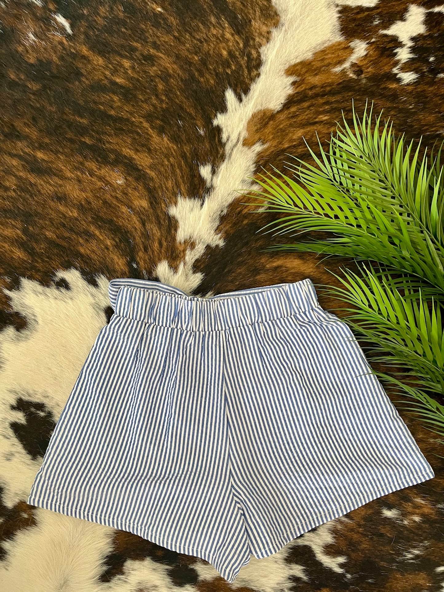 50% Off - Never Settle Blue Striped Shorts