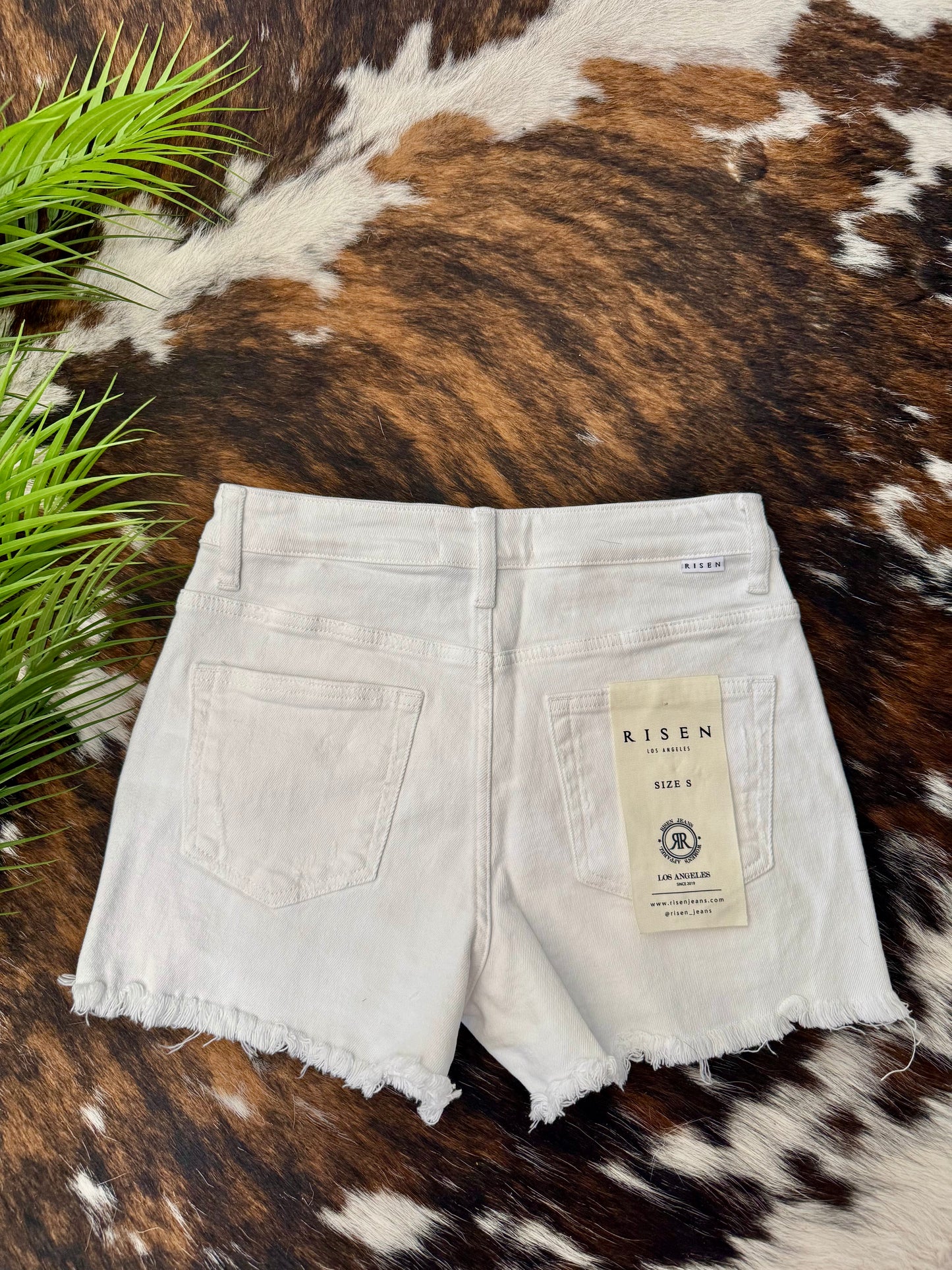 White Sandy Beach White Risen Shorts