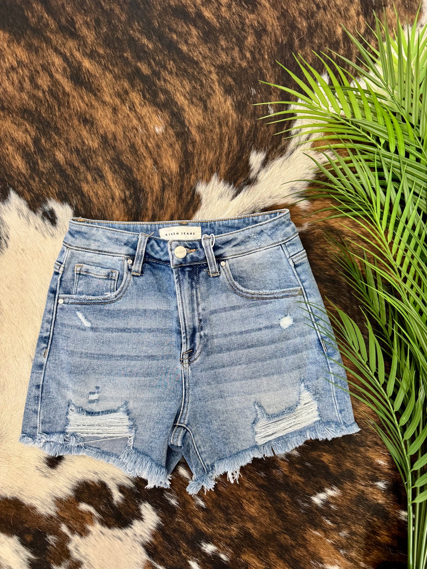 Long Story Short Risen Shorts
