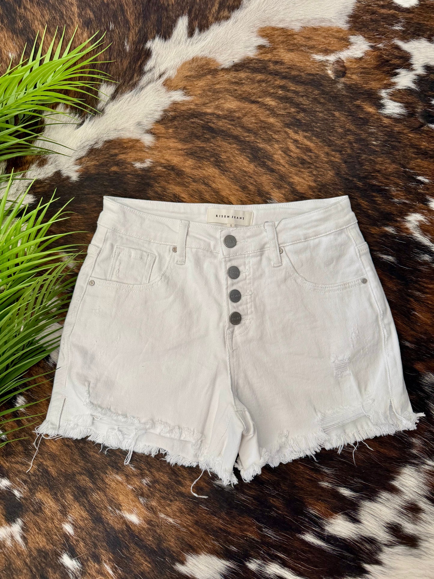 White Sandy Beach White Risen Shorts