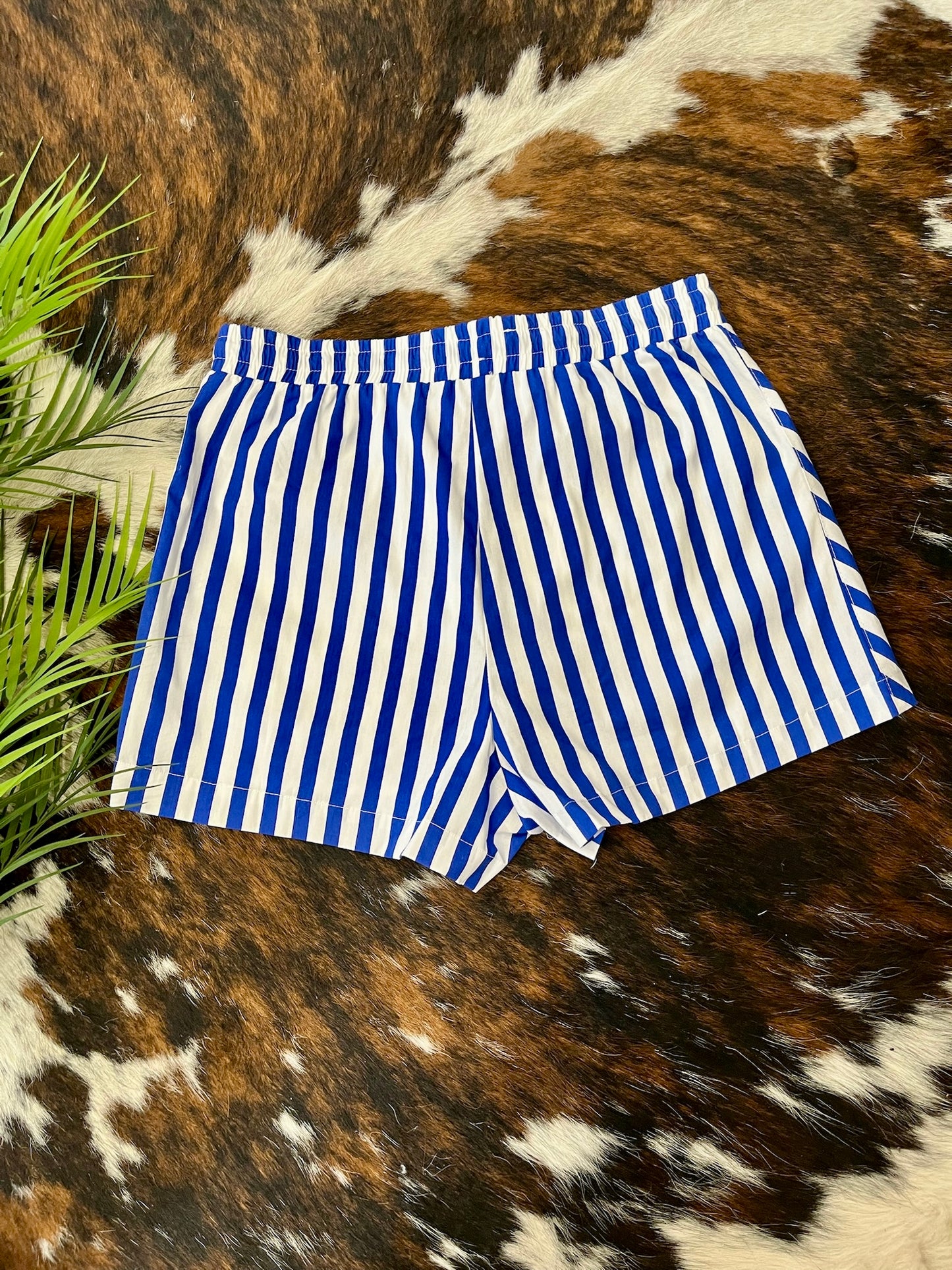 Sure Of It Blue Striped Shorts
