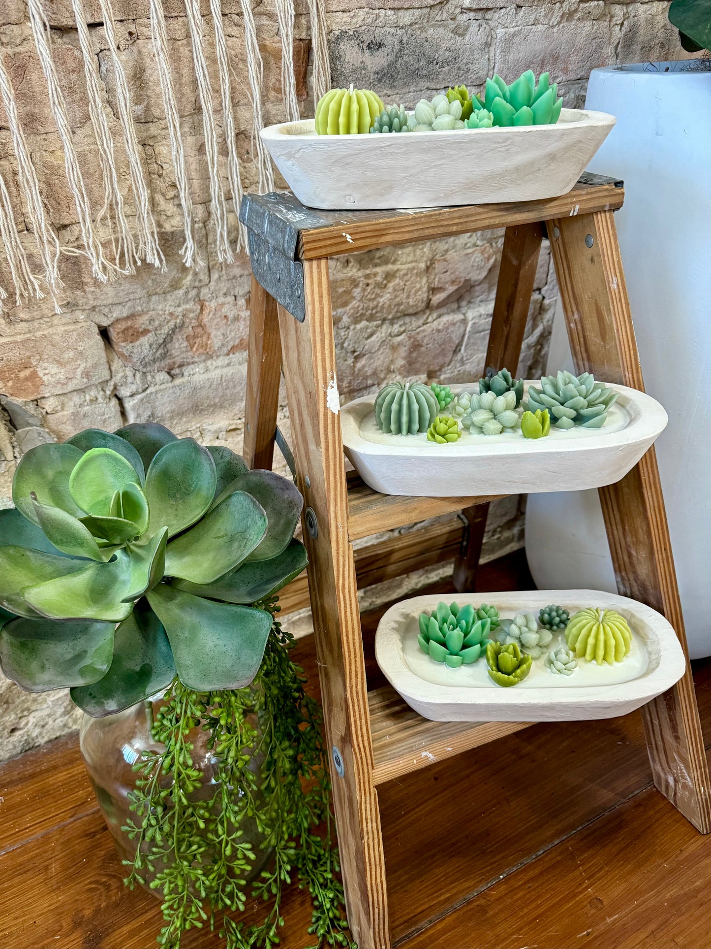 Baja Cactus Blossom Succulent Candle