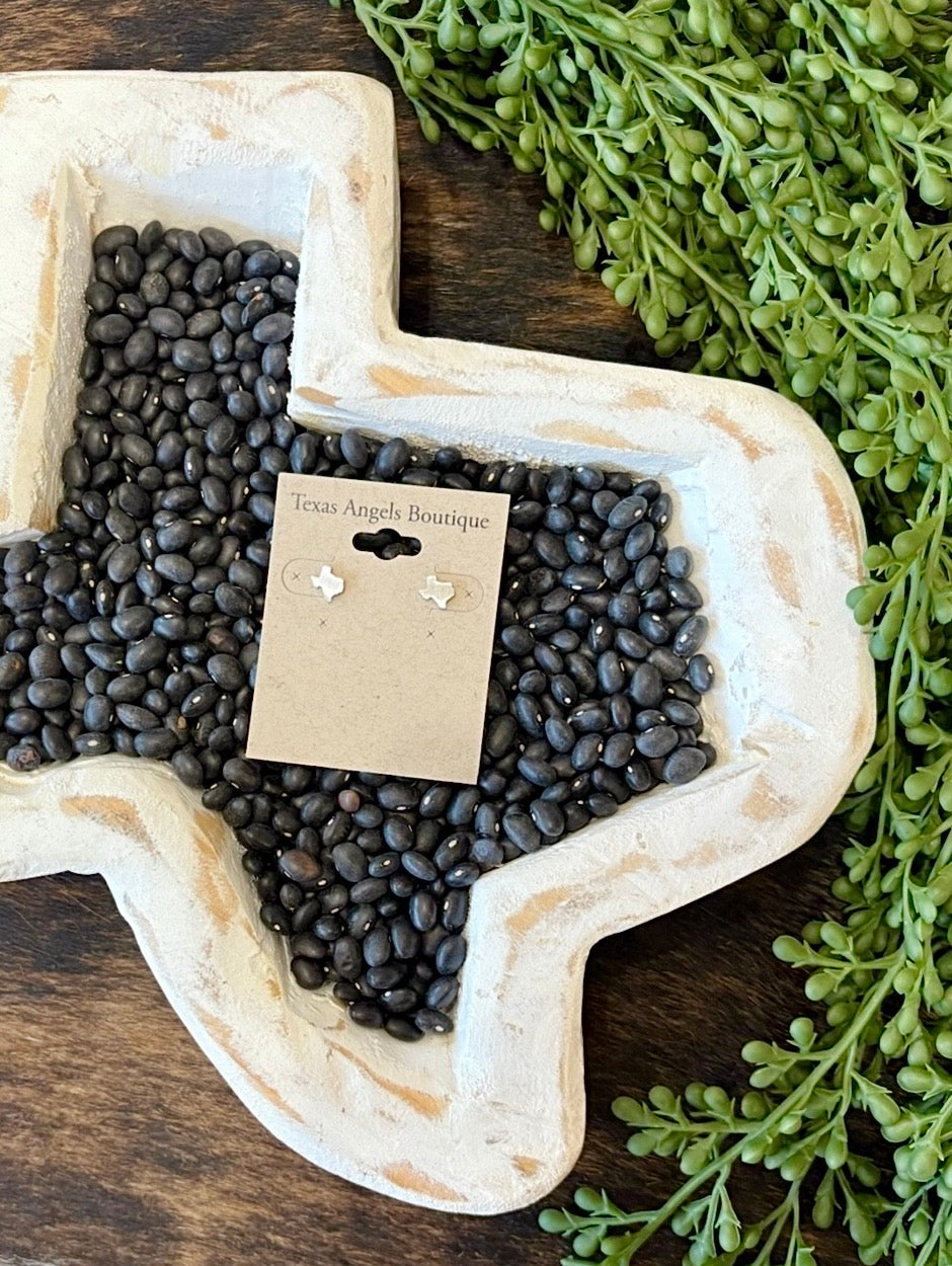 Silver Texas State Earrings