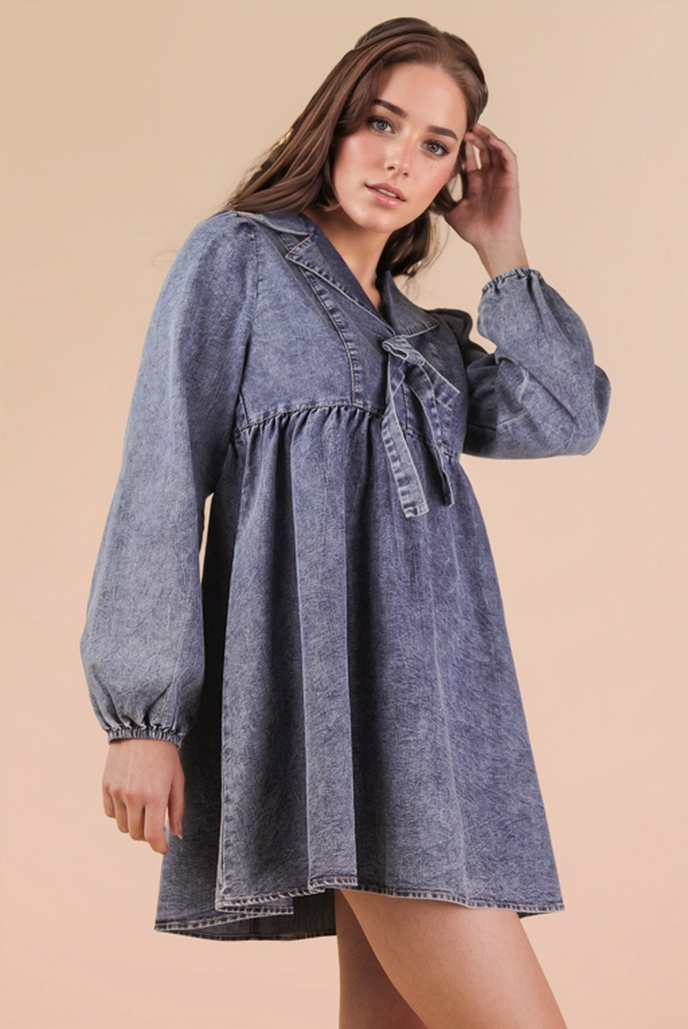 Dandelion Denim Dress
