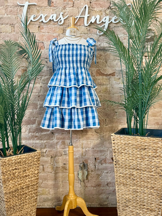 Let's Plan A Picnic Blue Plaid Dress
