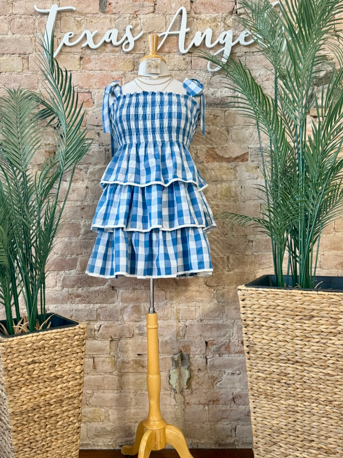 Let's Plan A Picnic Blue Plaid Dress