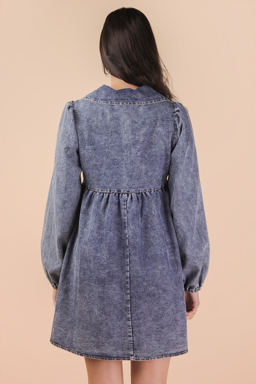 Dandelion Denim Dress