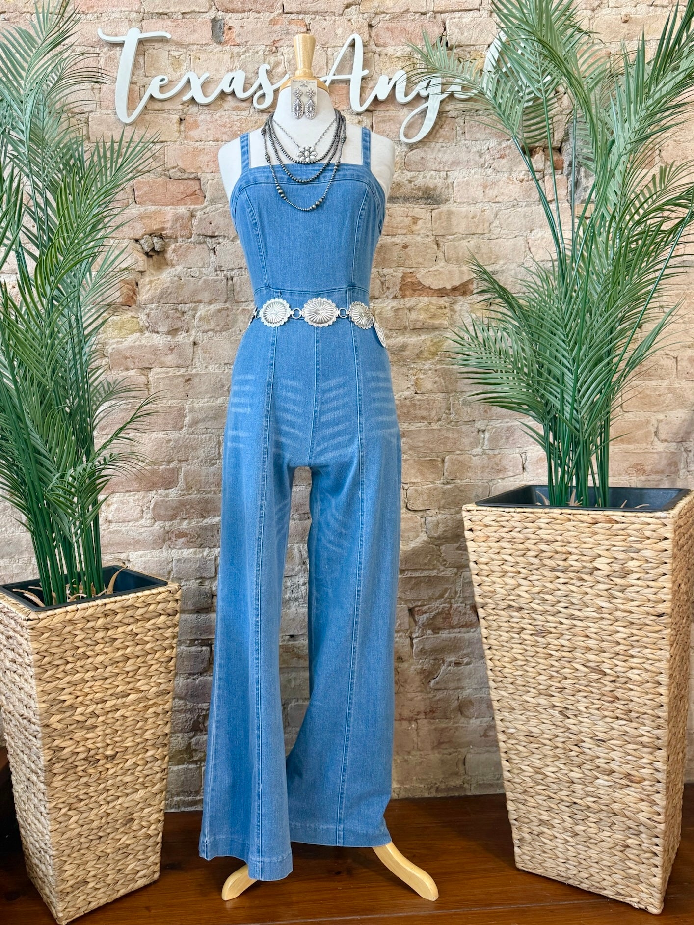 Livin' The Dream Denim Jumpsuit
