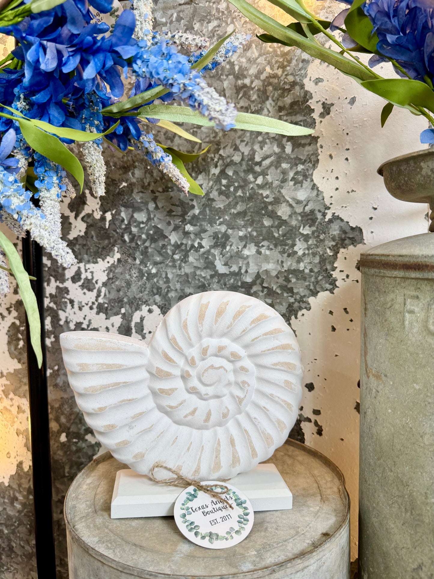 White Wash Seashell
