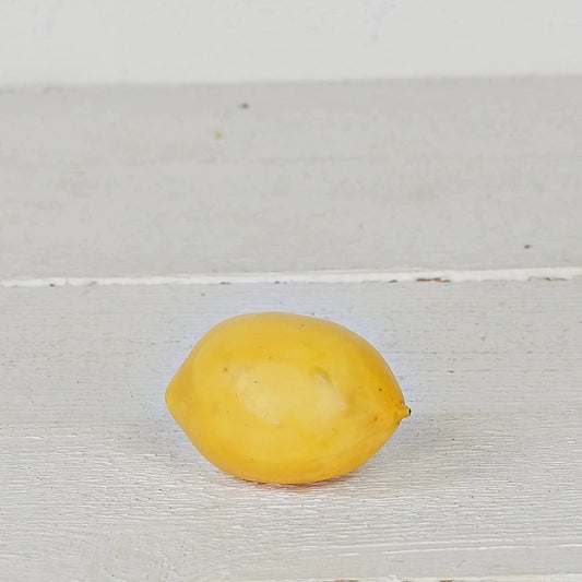 Single Artificial Lemon