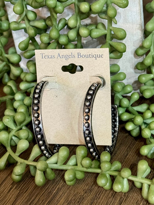 Silver Hoop Earrings