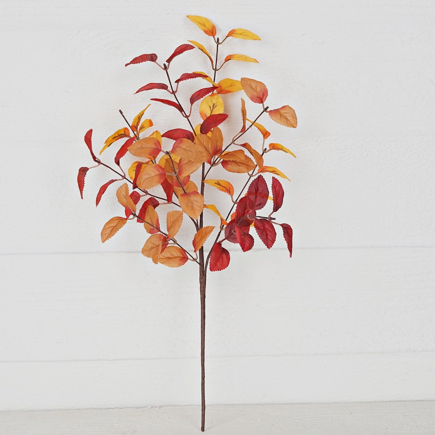 50% Off - Fall Ficus Leaves