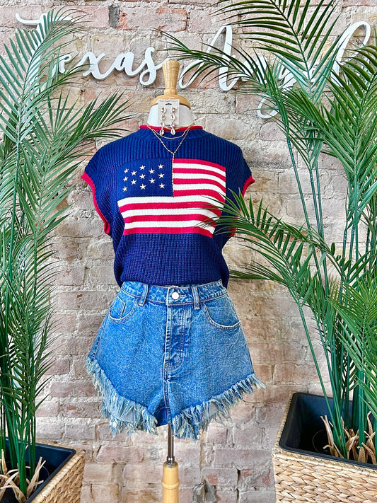 Born In The USA Navy Flag Knit Top