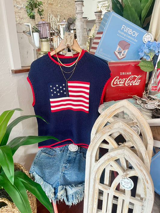Born In The USA Navy Flag Knit Top