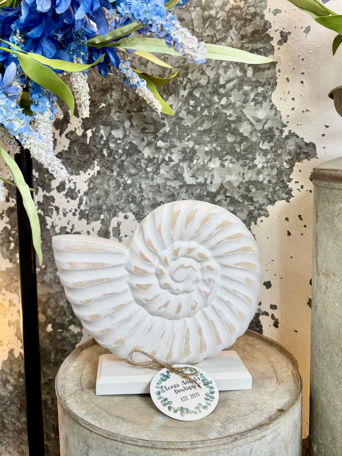 White Wash Seashell