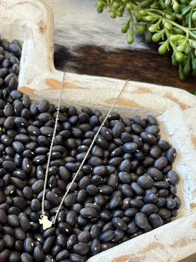 Dainty Silver Texas Necklace