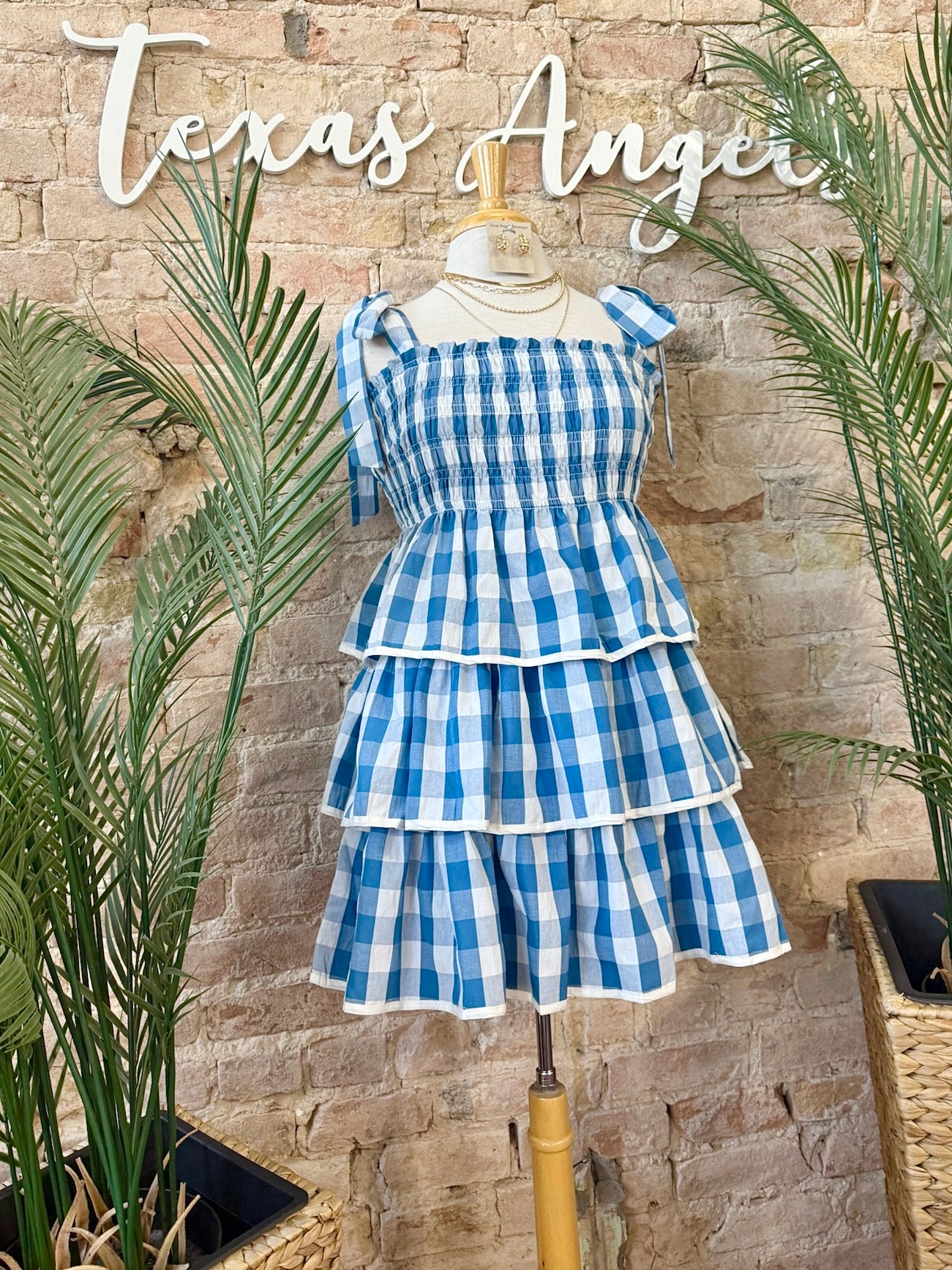Let's Plan A Picnic Blue Plaid Dress