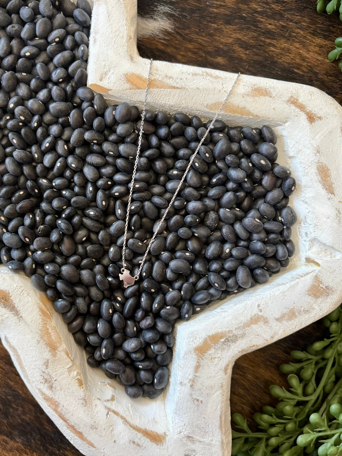 Dainty Silver Texas Necklace
