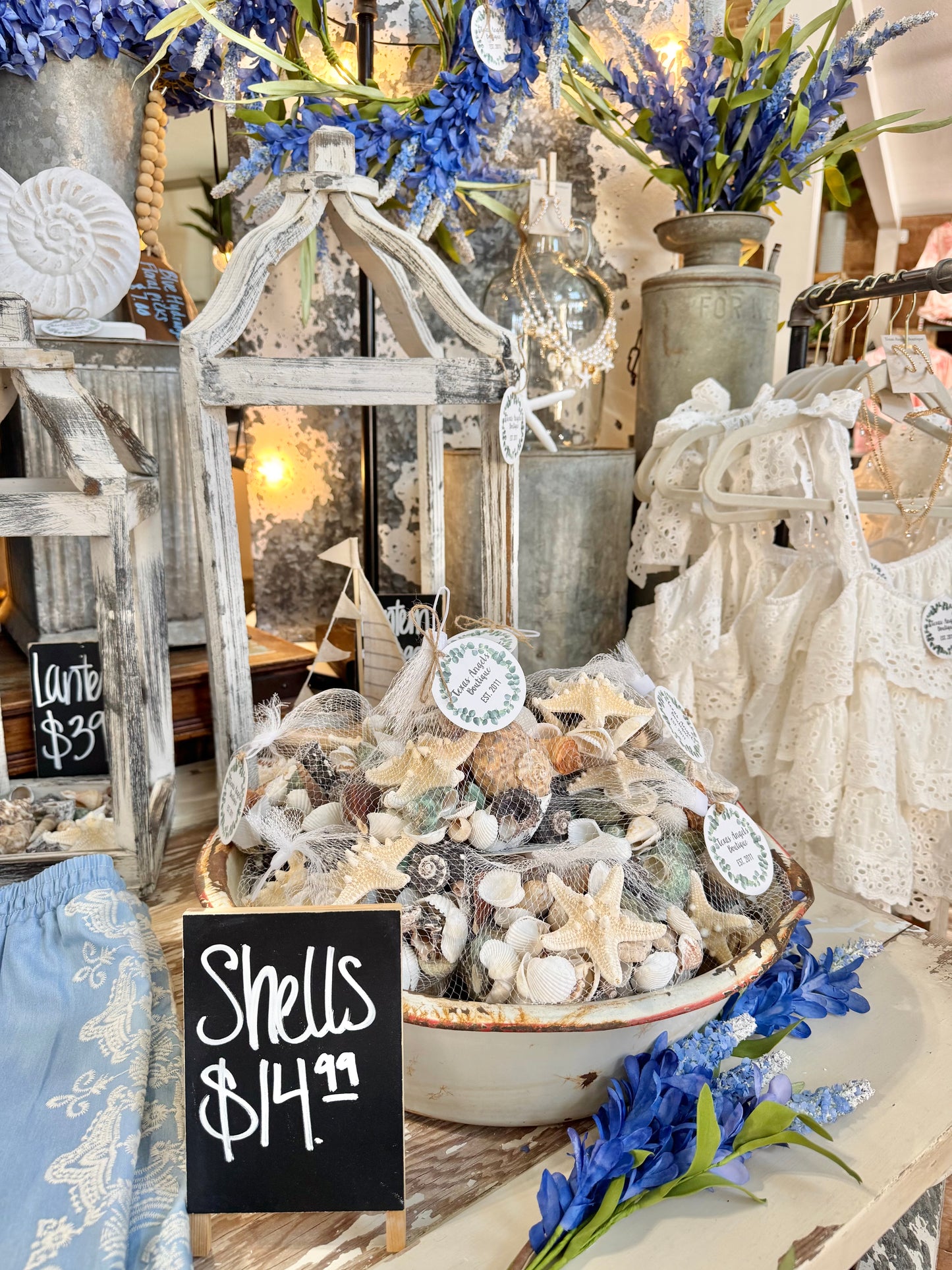 Assorted Bag Of Seashells