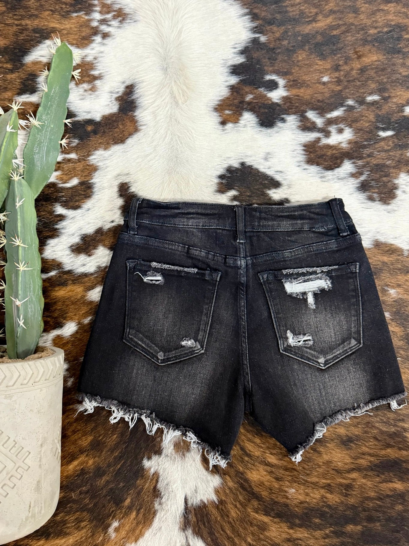 40% Off - It's Been Awhile Black Risen Shorts