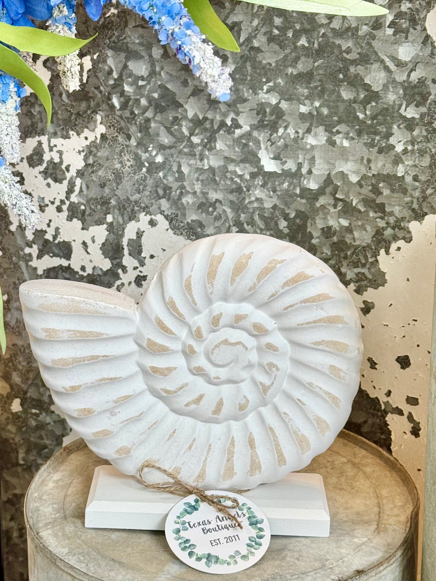 White Wash Seashell