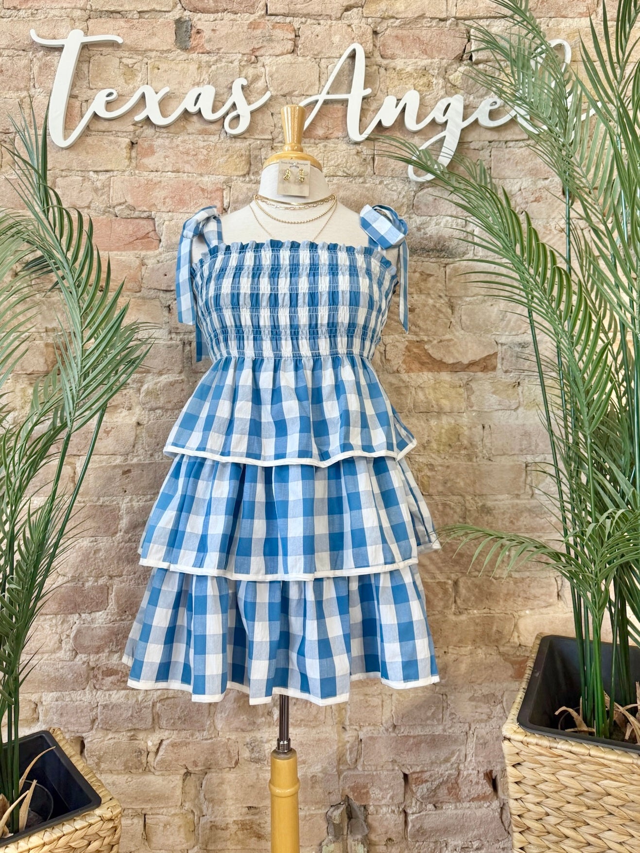 Let's Plan A Picnic Blue Plaid Dress