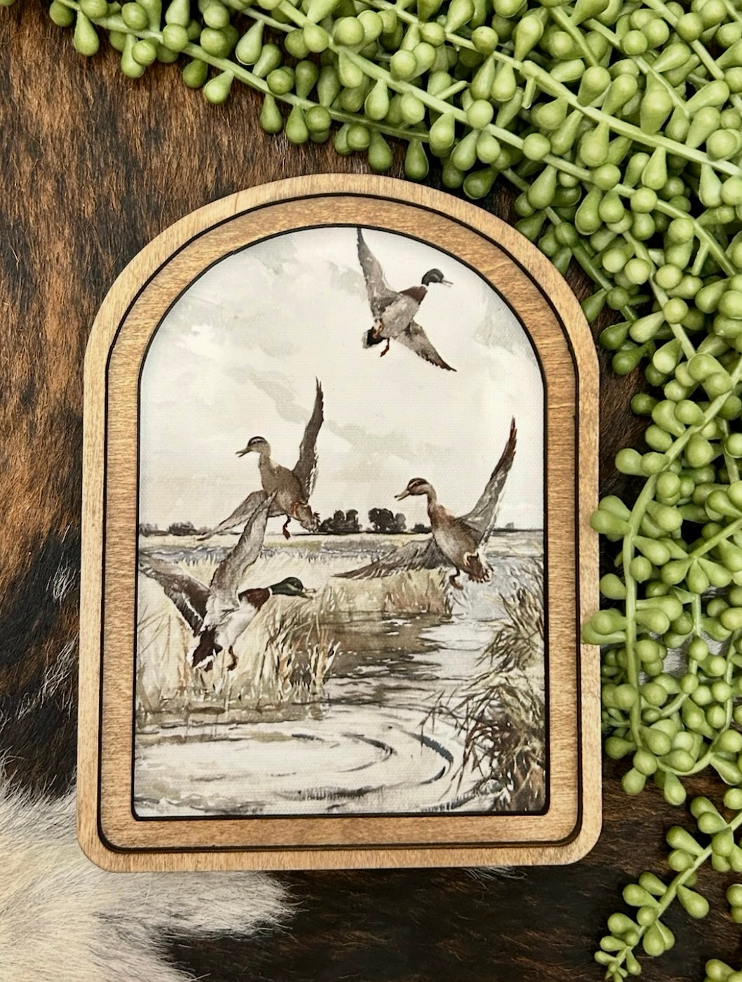 Arched Mallard Ducks Canvas Decor