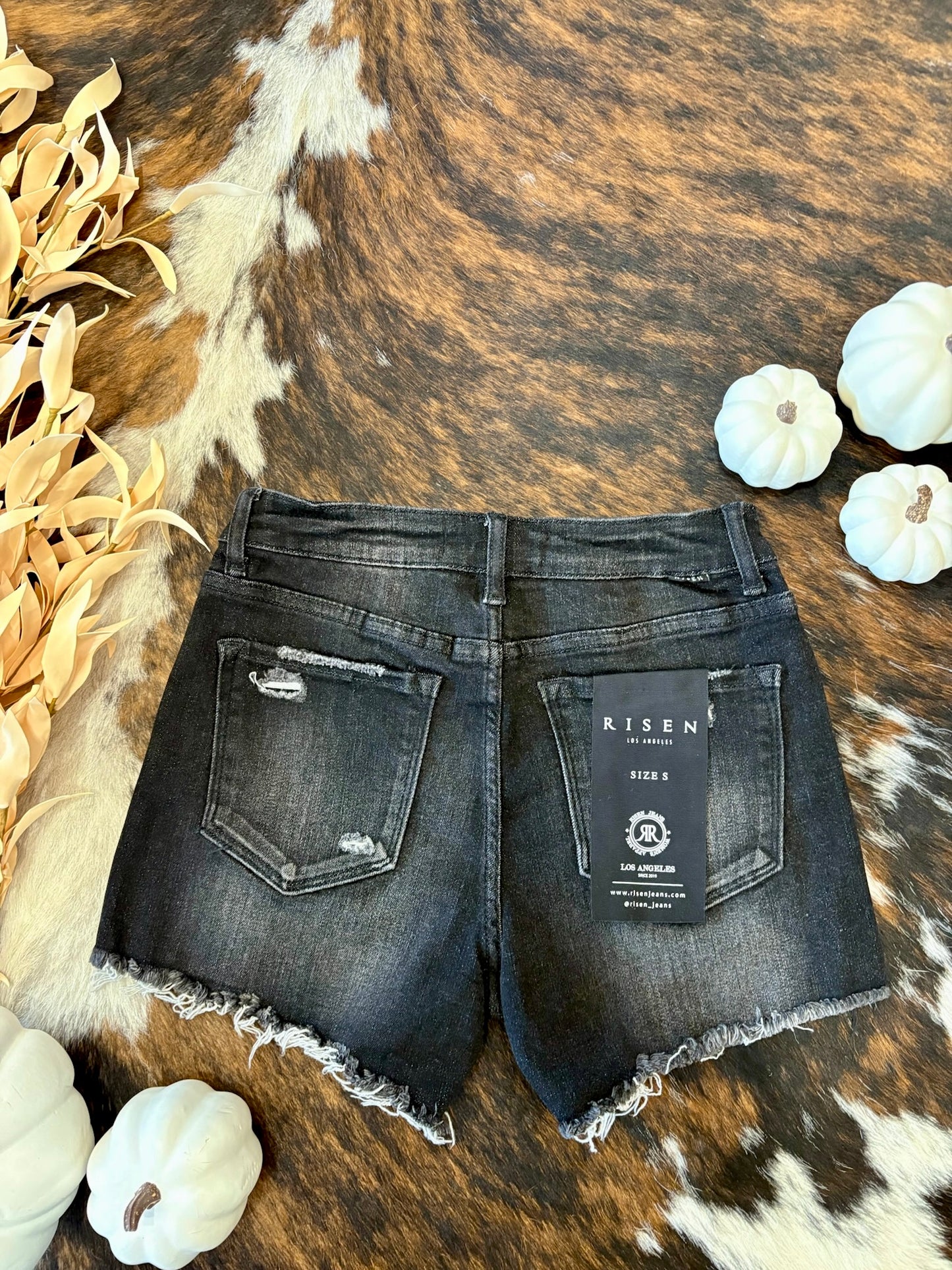 It's Been Awhile Black Risen Shorts