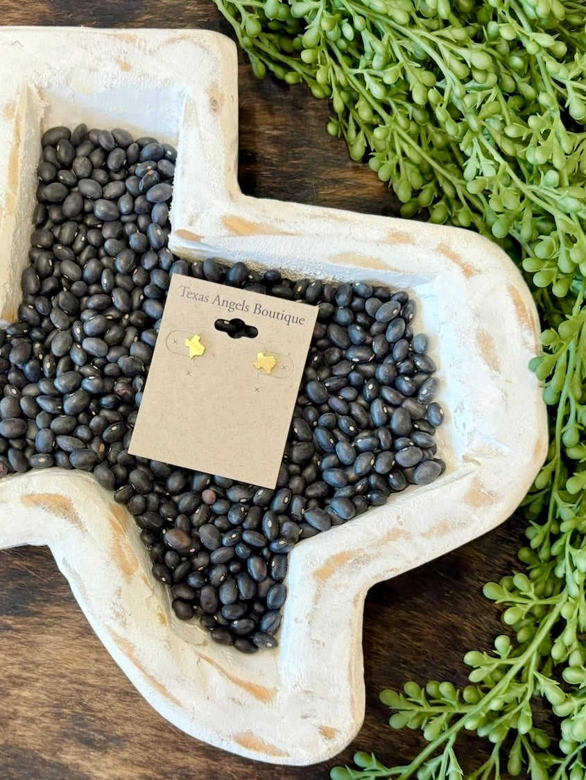 Gold Dipped Texas State Earrings