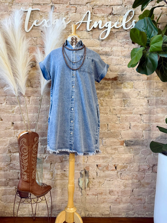 Roll The Rice Denim Dress