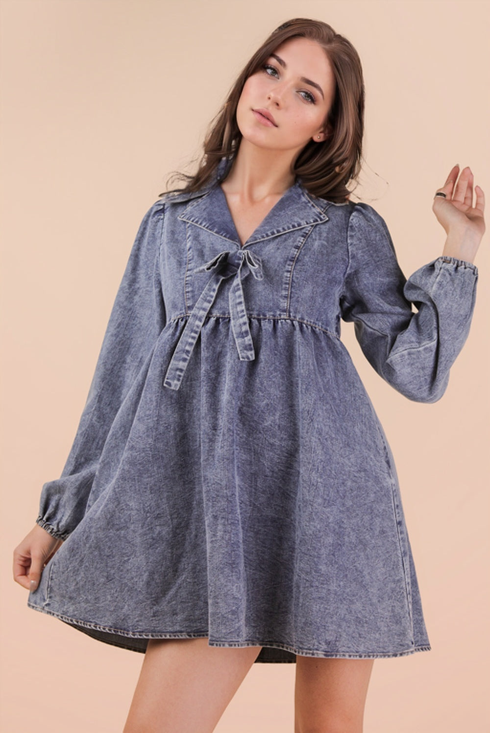 Dandelion Denim Dress